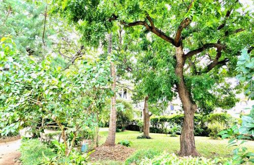 Diani Beach Apartment | Tessy Diani