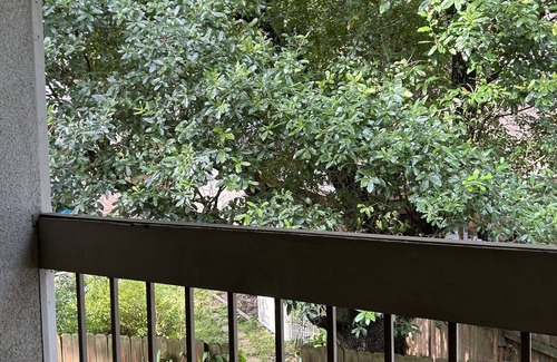 Walden on Lake Conroe Condo | Texas Lake Life is Condo on Lake Conroe with a Texas style! Steps away from lake