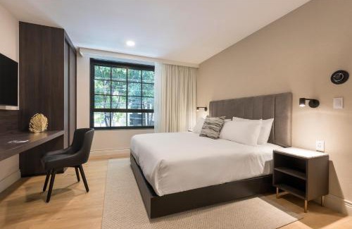 Hipodromo Apartment | The Amsterdam by Viadora