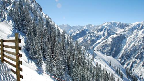 Downtown Apartment | The Aspen Mountain Residences