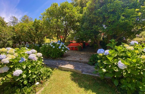Cacia House | The Backyard House - Vale da Silva Villas up to 5 pax