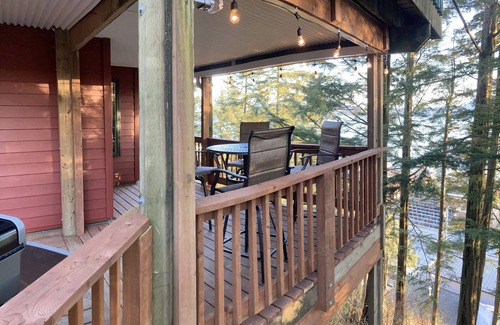 Ketchikan Apartment | The Bear Den. Water view, eagle view, deer and black bear, cover deck and BBQ.
