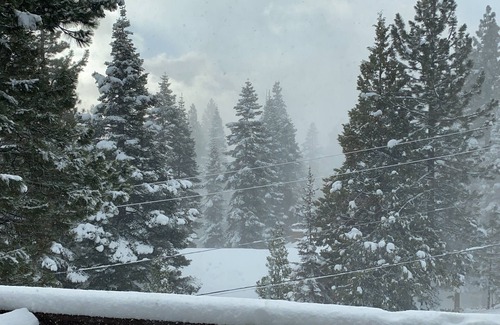 Tahoe Vista House | The “Bear’s Den”—a family favorite cabin!