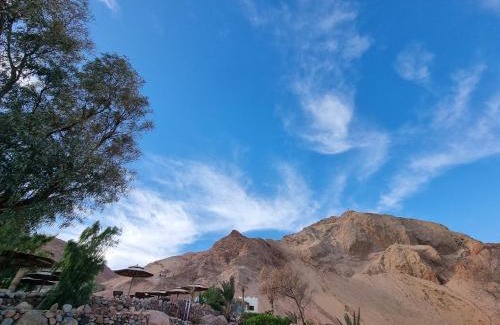 Dahab Hotel | The Bedouin Moon