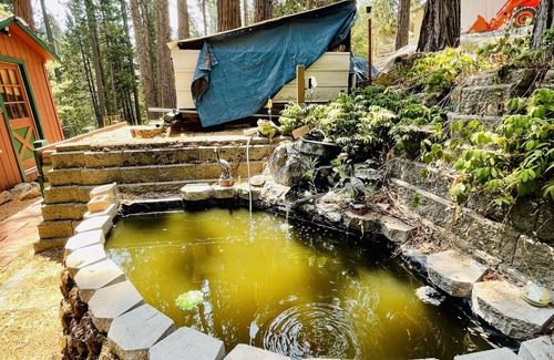 Twain Harte House | The Best Family Forest Cabin