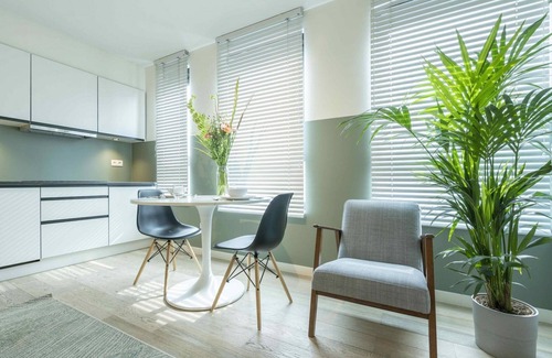 Antwerp Apartment | The Card Room Green Studio