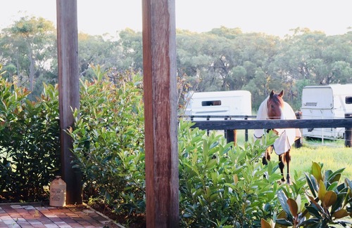 Somersby Cabin | The Charming StudionEscape to Somersby – A Peaceful, Pet-Friendly Retreat