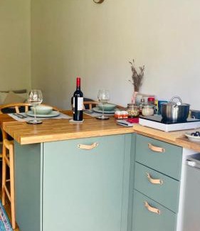 Caversham Apartment | The Cherry Hill Studio - Kitchenette, bathroom, parking and lovely garden