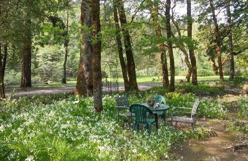 Brookings House | The Chetco River Inn Cottage-PRIVATE River Frontage, 36 acres-Relax, Swim, Fish