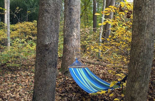 Hood House | The Conway River Cabin – a family-friendly vacation home in the Blue Ridge