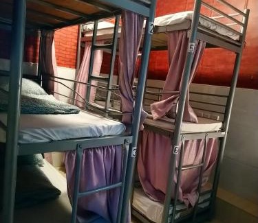 Jordan House | The Cultural Crashpad - 康乃馨旅館