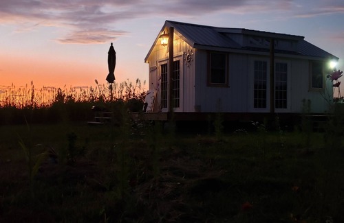 Hastings Cottage | The Firefly stargazer, garden studio. View the night sky from your bed.