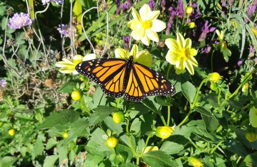 Geraldine Bed & Breakfast | The Fishers @33