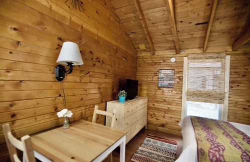 Lake City Cabin | The Forget-Me-Not Cabin with Mountain Views