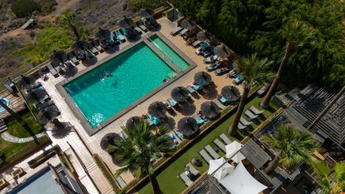 Los Gigantes Apartment | The Harbour Club