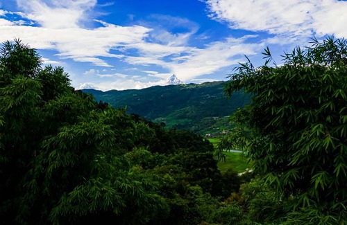 Pokhara Cabin | The Hidden Camp