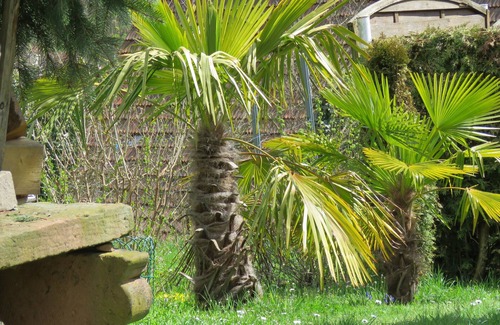 Pleisweiler Apartment | The house (Fewo Hortensie) with pool on the German Wine Route