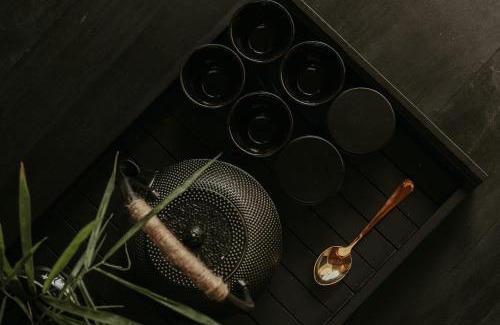 Cemagi Apartment | The Iggy Hotel Seseh Studio 3 Sauna, Ice Bath