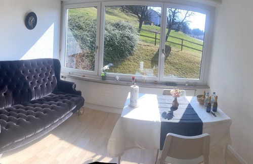 Triesen Apartment | The individually furnished apartments