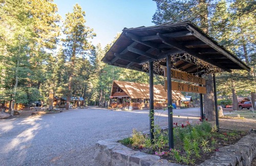Bayfield Cabin | The Iris Cabin #1 Sum