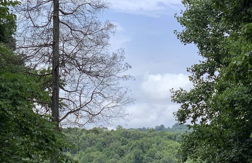 Rock Harbor Cottage | The Little Dipper---- Cottage on Norris Lake-- boat slip and dock