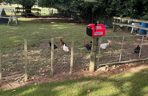 Pukemoremore House | The Little House is in a rural setting 8 minutes to Cambridge.
