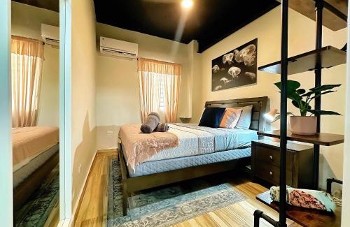 Hipodromo Apartment | The Lofts At Santurce