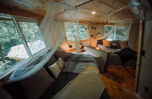Rogers Hotel | The Looking Glass: A Pair of Mirrored Treehouses