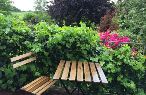 Habenhausen Apartment | The luxury suite 95m2/for 3 persons