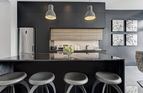 Pointe-Saint-Charles Apartment | THE MODERN CHIC | Two-Bedroom Loft w. Terrace