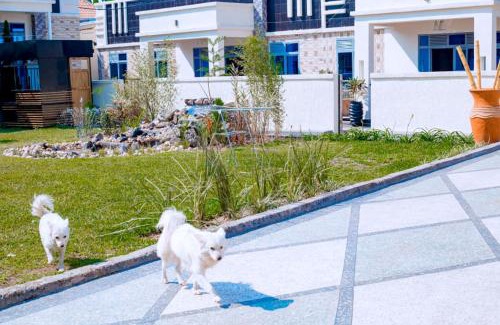 Gisenyi Apartment | The Moon Geust House