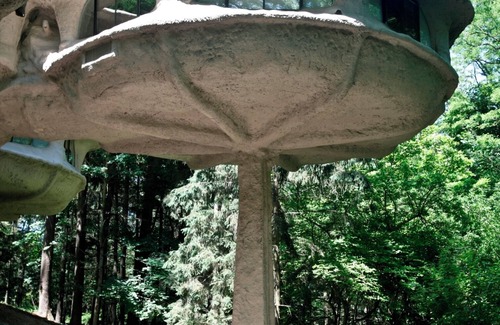 Perinton House | The Mushroom House