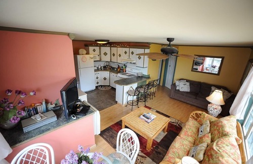 Dewey Beach Apartment | The Original Best Kept Secret in Dewey Beach Since 2001 Dog Friendly Ocean View