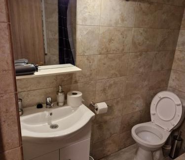 Ghimbav Apartment | The Ozzy Room