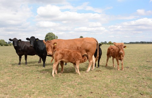 Sutton on Trent House | The Parlour, luxury Barn ideally situated to explore rural Nottinghamshire