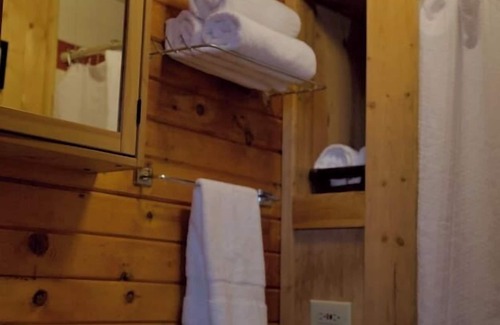 Lake City Cabin | The Primrose Cabin with Mountain Views