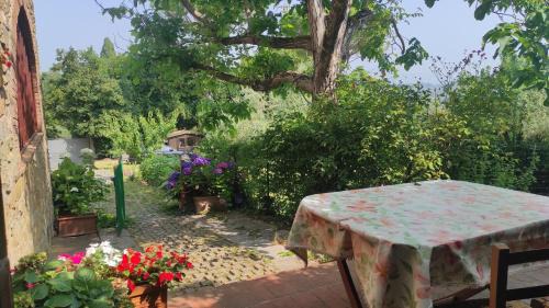 Pozzolatico House | The Quiet Room