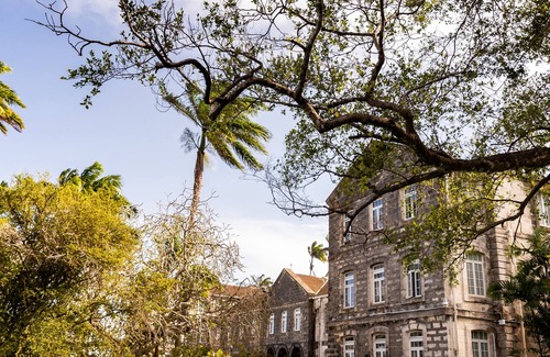 Sargeant Street Apartment | The Rio Pongas a two bedroom flat quaint abode suitable for reflection.Mission.