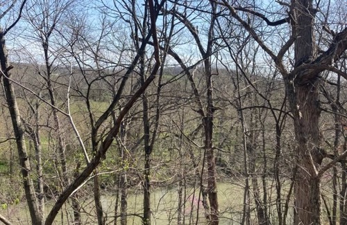 Nixa Cabin | The Riverbirch Treehouse-close to town yet steps away from total wilderness