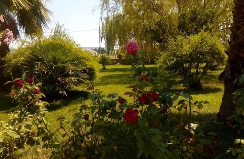Olmedo Apartment | The Rose Garden - An oasis of peace in the green