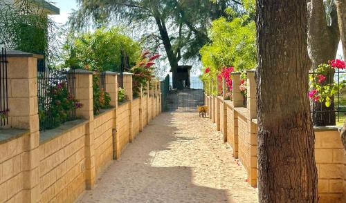 Diani Beach Apartment | The SandCastle Apartment