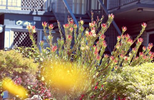 Merimbula Apartment | The Sands Holiday Apartments