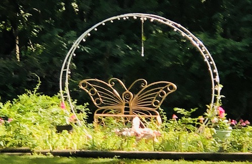 Turners House | The Serene Guest House! Peaceful home Near Lake Springfield!