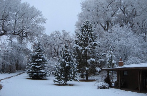 Valdez Cottage | The Sloping Porch Guest Cottage @ Rio Hondo Vally Alpacas-No Cleaning Fee