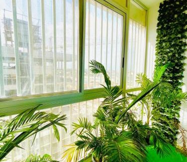 Dakar-Plateau House | The Sonu Garden