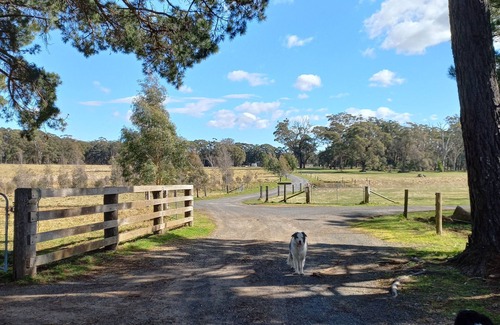 Moss Vale House | The Stables ~ Peace, Tranquility, Nature, Horses.