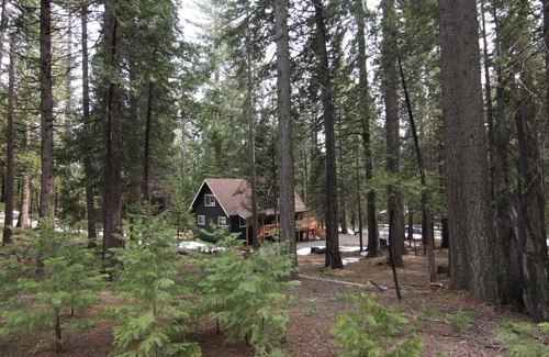 Dorrington House | The Sugar Pine Chalet