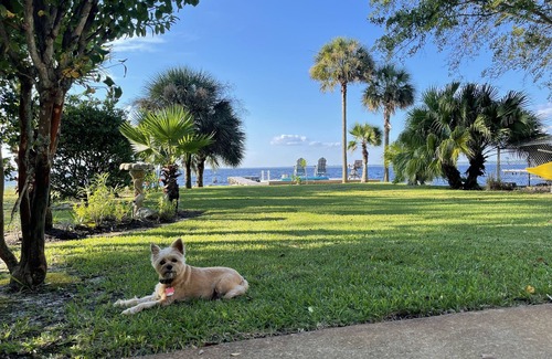 Gulf Breeze House | The Sunset Bay House - Water Front- Minutes to Navarre/Pensacola Beach- Kayaks