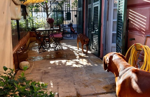 Sturla Apartment | The traveler's choice