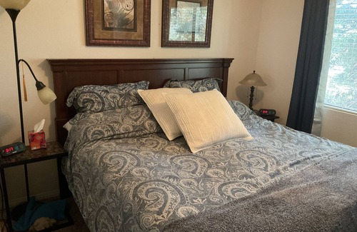 Bluff Heights House | “The Tree House” near beach, 2King beds, free parking